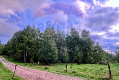 Teren 7,350mp Bulz / Drumul Secundar Teren 7,350mp Bulz / Drumul Secundar - 2