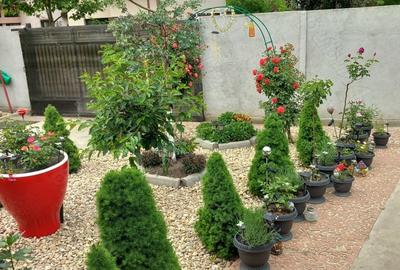 Casă cu 3 camere cu Teren 400 Mp în Buftea - 6