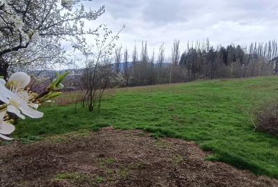 Teren in zona pitoreasca , usor accesibila , cu utilitati si panorama deosebita - 6