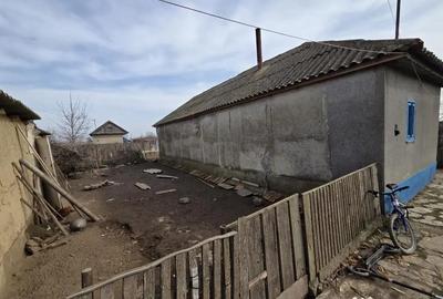 Casă cu 3 camere cu Teren 2029 Mp în Sabangia - 2