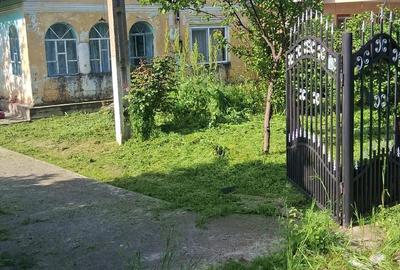 Teren de 70000 mp, în Dioști - 4