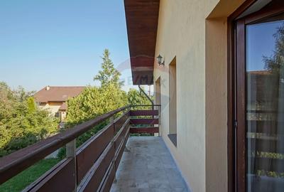 Casa de inchiriat, "acasa" in mijlocul naturii, aproape de Brasov! - 21