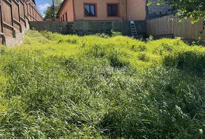 Casa de vanzare - Tatarasi Piata Chirila - 1