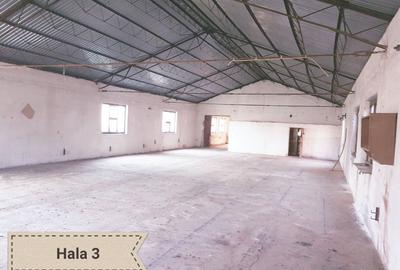 Spațiu comercial, de 680 mp, în Central - 6