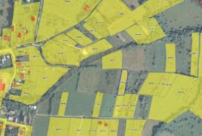 Teren 5000 mp, Loc. Sieu, Jud Maramures - 1