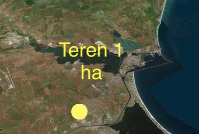 Vand teren 1 ha Academia Hagi - 3