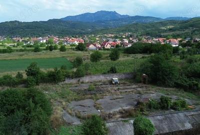 Casă cu Teren 4000 Mp în Central - 2
