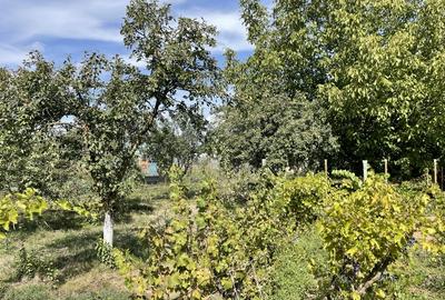 Malu, sat Butoiu Ialomita - 7