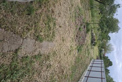 Casă cu 3 camere în Corni - 1