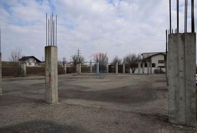 Teren Construcții intravilan de 6900 mp, în Șcheia - 5