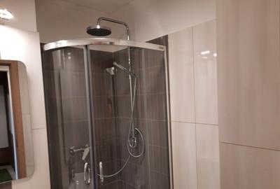Persoana fizica dau in chirie apartament - 2