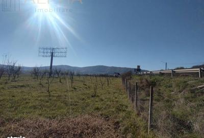 Spațiu comercial, în Șcheia - 1