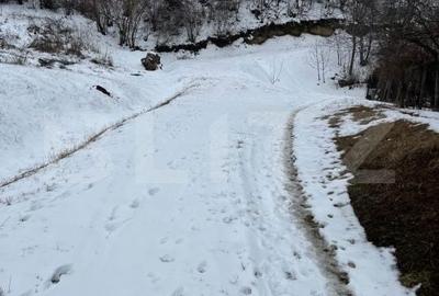 Teren de 1240 mp, în Tomești - 2