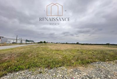 Mosnita Noua Teren 10.000mp | Front 63m | La asfalt - Zona de Case - 5