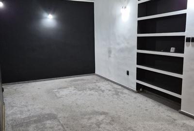 De vânzare Vilă individuala 11 camere curte proprie Parcul Carol - 9