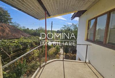 Casă individuală cu 6 camere cu Teren 5351 Mp în Dănești - 5