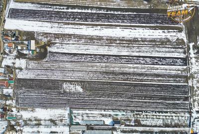Spațiu comercial, în Dobolii de Jos - 8