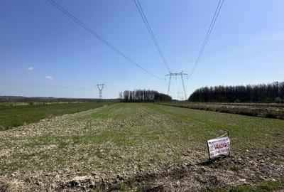 Spațiu comercial, în Stoilești - 1