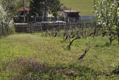 Spațiu comercial, în Blejoi - 5