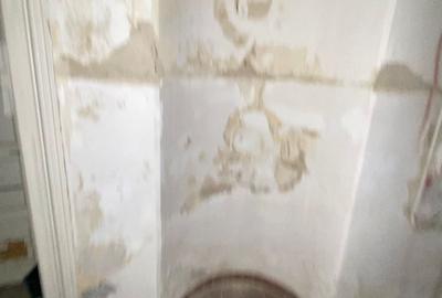 De Vanzare Vila Interbelica, 8-10 Camere, Romana - Zodiac - 20