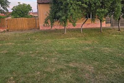 Casă cu 3 camere în Cenad - 2