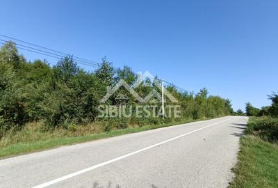 Teren  construibil ,la sosea, intre Vale si Sibiel, zona cu potential
