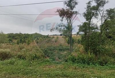 Teren de 2341 mp, în Uileacu de Munte - 5