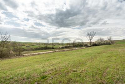 Teren intravilan Cetariu - 1