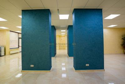 Vanzare spatiu comercial, investitie cu venit imediat, Drumul Binelui - 6