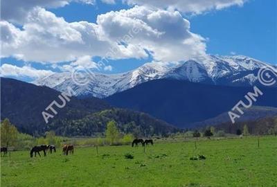 Teren Construcții intravilan de 1250 mp, în Central