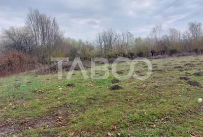 Teren Construcții intravilan de 550 mp, în Cisnădie - 7