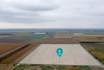 Teren extravilan 5 hectare ( zona industriala ) ?ag - 6