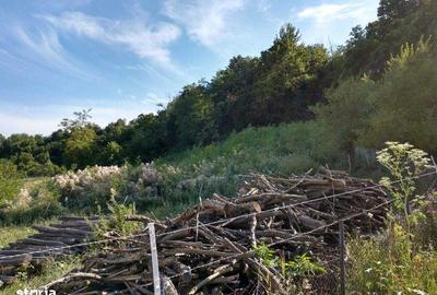 Teren de 300000 mp, în Roșia de Amaradia - 5