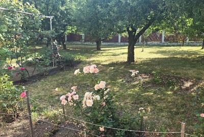 Vand proprietate in Deva. zona Ceangai, compusa din 2 case de locuit, - 6