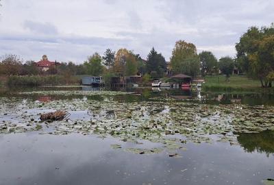 OAZA DE LINISTE SI RAFINAMENT LA MALUL LACULUI - 7