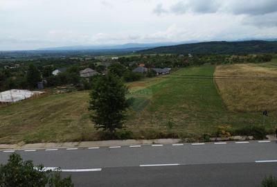 Teren 800mp Coas / Strada Principala - 8