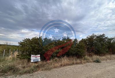 Teren 935mp Bradesti / Strada Valea Rea - 1