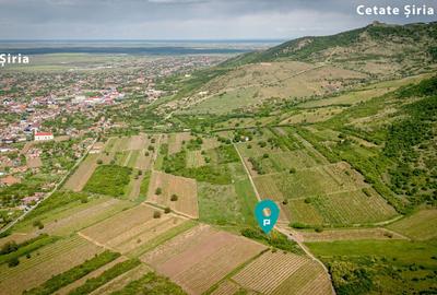 Teren agricol extravilan de 3654 mp, în Șiria - 1