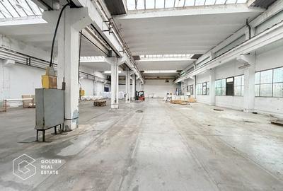 Hala industriala cu pod rulant, Sanicolau Mic, suprafata 1.187 mp - 6