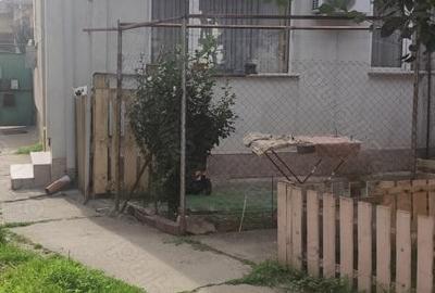 Casă cu Teren 229 Mp în Pârneava - 3