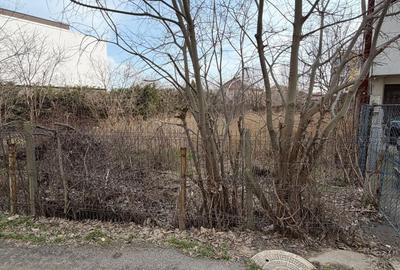 Teren Construcții intravilan de 617 mp, în Palazu Mare - 3