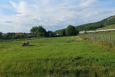 Spațiu comercial, în Miercurea Sibiului - 1