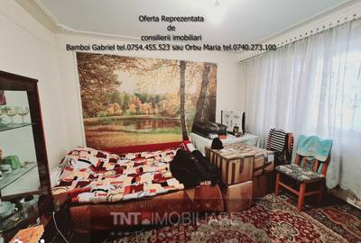 Apartament cu 3 camere decomandat în Tătărași - 8