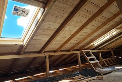 Valu lui Traian - casa P + 1, 6 camere, 336 mp s.u., 450 mp teren - 21