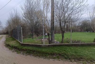 Teren de 6000 mp, în Păunești - 1