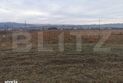 Teren de 5900 mp, în Pătrăuți - 3