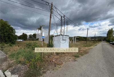 Teren intravilan 1882 mp, deschidere dubla, Boldesti Scaien - 13