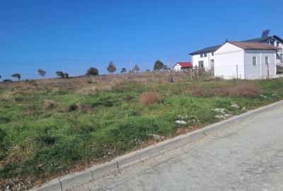 Teren Construcții intravilan de 1000 mp, în Costinești - 3