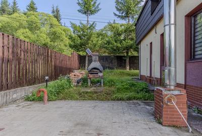Casa de vacanta sau investitie turistica in Gresu - langa Lepsa - 25