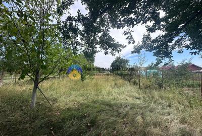 Teren + Casa de Vanzare 1170 mp Dumbrava Ro?ie, N - 16